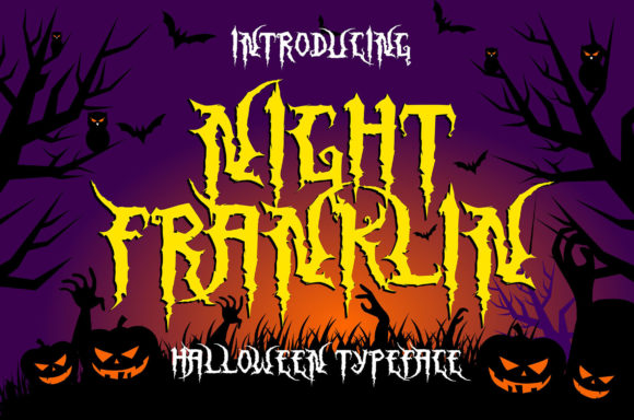 Enhance Your Web Design with Night Franklin Font