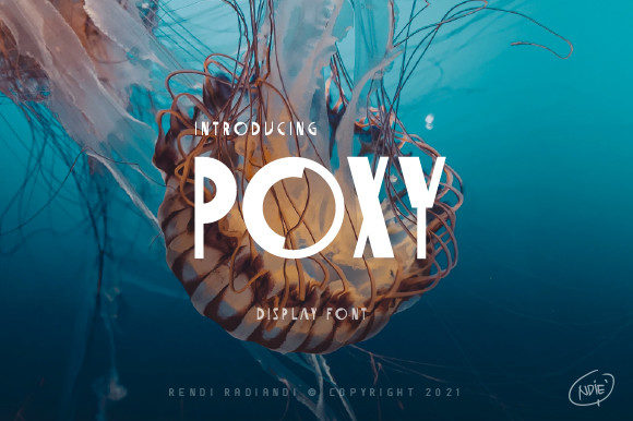 Poxy: A Playful Display Font for Creative Branding