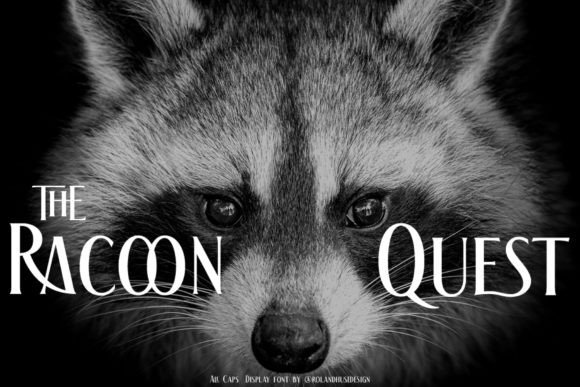 The Racoon Quest Font for Editorial Design